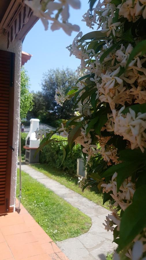 Villetta Cinquale Versilia Exteriér fotografie